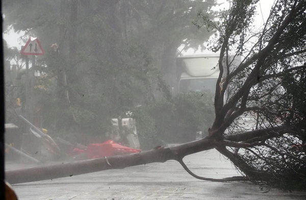 超强台风“山竹”上下班途中，自然灾害，工伤，正邦人力