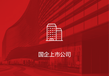 国企上市公司