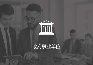 政府事业单位