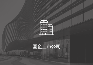 国企上市公司